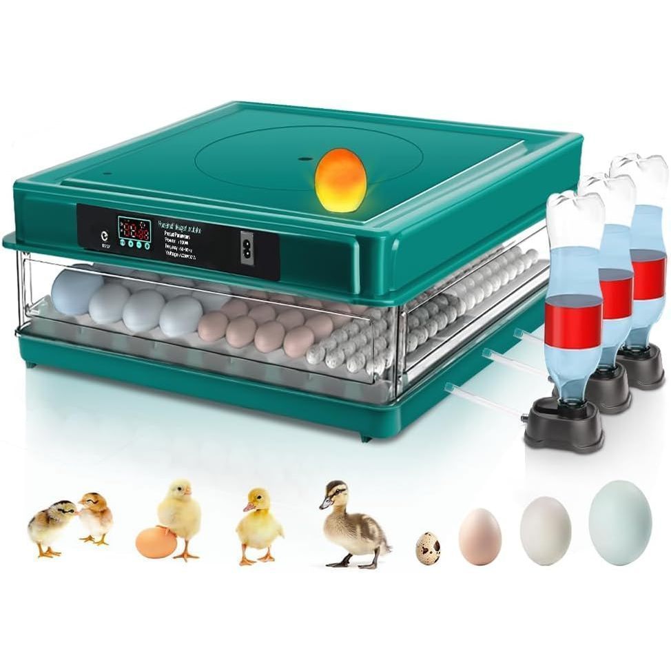 chocadeira-eletrica-automatica-chocadeira-de-ovos-de-galinha-220v