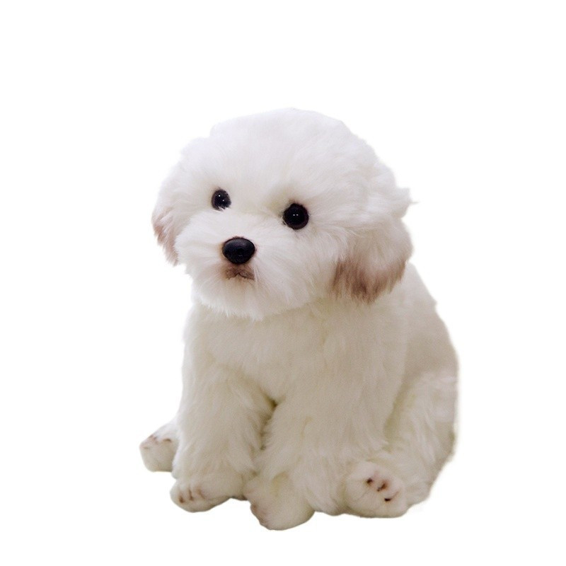 Frise Bichon em Promoção na Shopee Brasil 2026