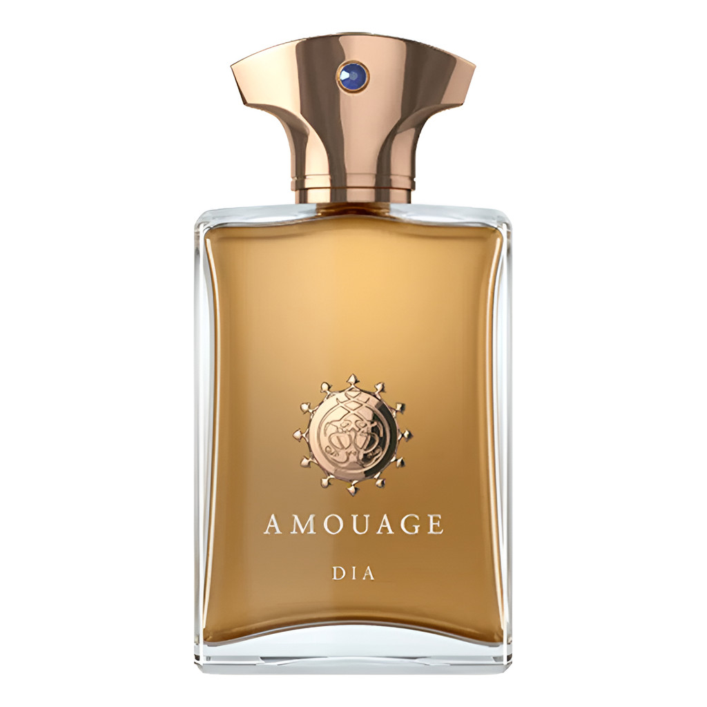Perfume Amouage Dia Man Eau De Parfum 100ml | Original Lacrado