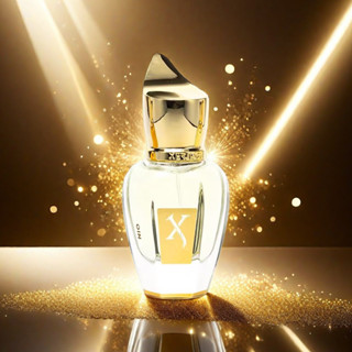 X Perfume Fragrância Frutada Fresca Tom De Madeira Duradouro 100ml Unissex em Oferta na Shopee