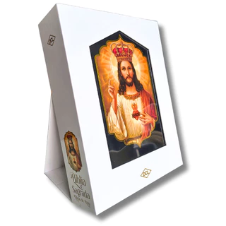 Bíblia Sagrada Católica Grande - Edição Luxo