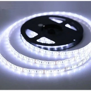 Fita LED 5050 Branca Fria Branco Quente 5 Metros Decoração Gesso Natal Com Silicone Ip65 a Prova D'água