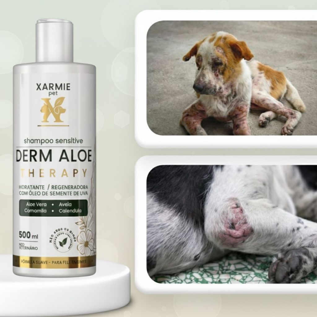 Shampoo Para Dermatites em Cachorro Melhor que Pomadas 500ml DERM ALOE ...