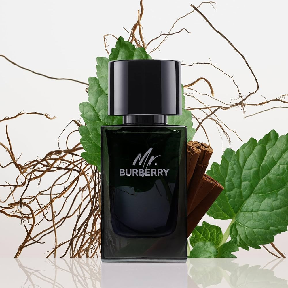 Perfume Mr Burberry Edp Masculino 100ml | Shopee Brasil