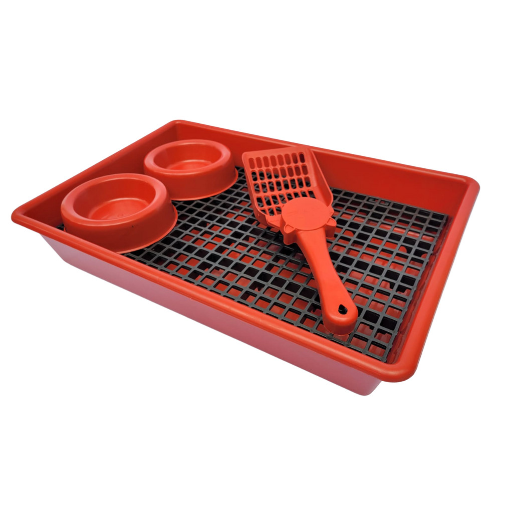 Sanitário Vermelho com Estrado para Roedores Porquinho da India