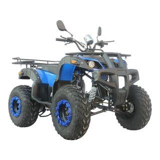 Quadriciclo 250cc Azul Esportivo com Motor Potente Partida Elétrica Rodas Aro 10 e Ideal Para Trilhas e Aventura em Oferta na Shopee