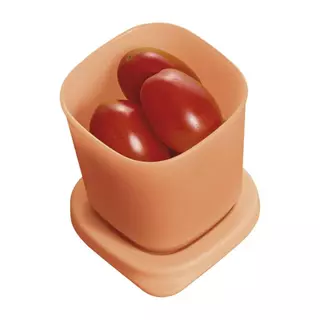 Pote Hermético Tupperware Mini Refri Line 110ml em Oferta na Shopee