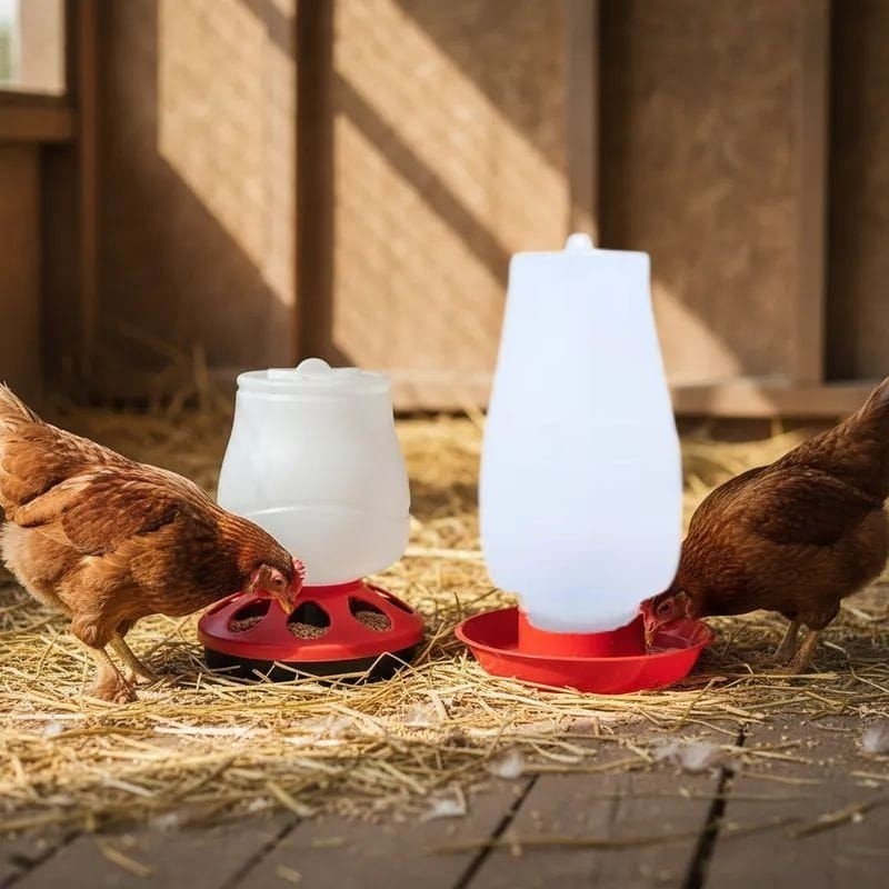 KIT GALINHAS AVES COMEDOUROS 1,5 KG E BEBEDOUROS 5 LITROS Para Galinha ...