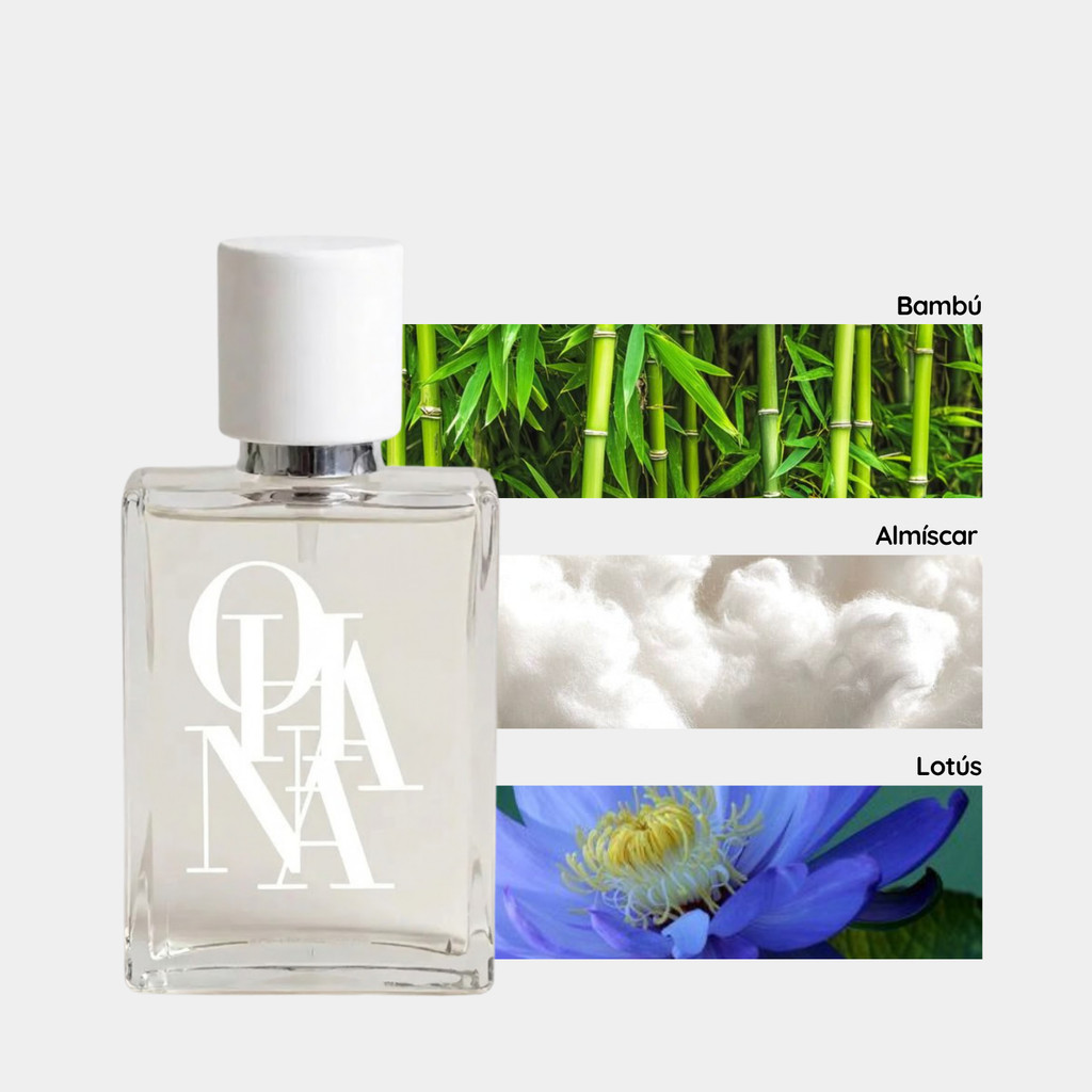 Bvlgari Omnia Amethyste Perfume em Promoção na Shopee Brasil 2026