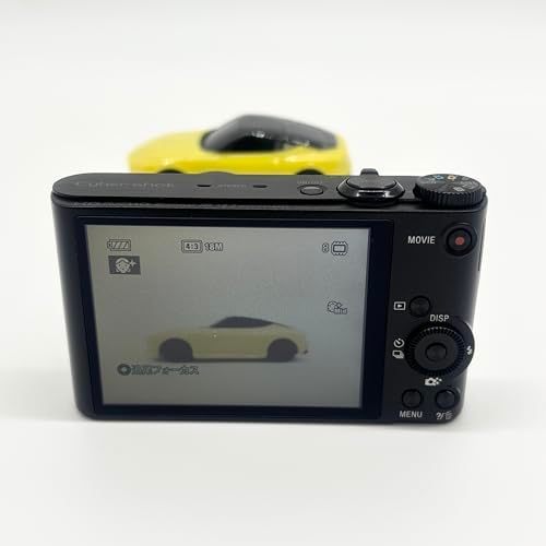 SONY Digital Camera Cyber-shot WX300 21.1 million pixels Optical