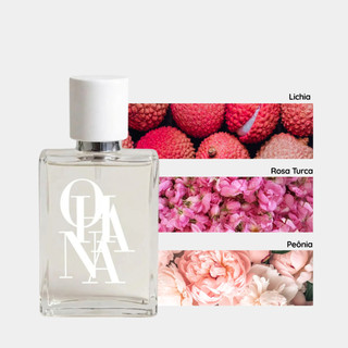 Delina Perfume 75ml em Promoção na Shopee Brasil 2026