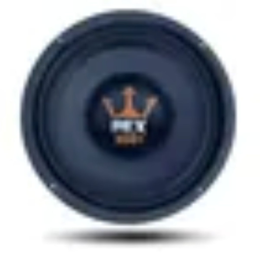 Woofer Da 300W, 10 Pollici, 4 Ohm - Struttura In Metallo Per Audio Potente