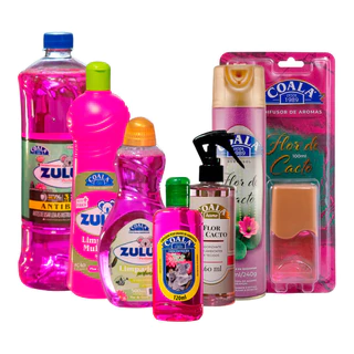Kit Coala Limpeza Completa - Flor de Cacto em Oferta na Shopee