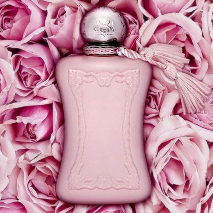 Delina Parfums De Marly Feminino Eau De Parfum 75ml | Shopee Brasil