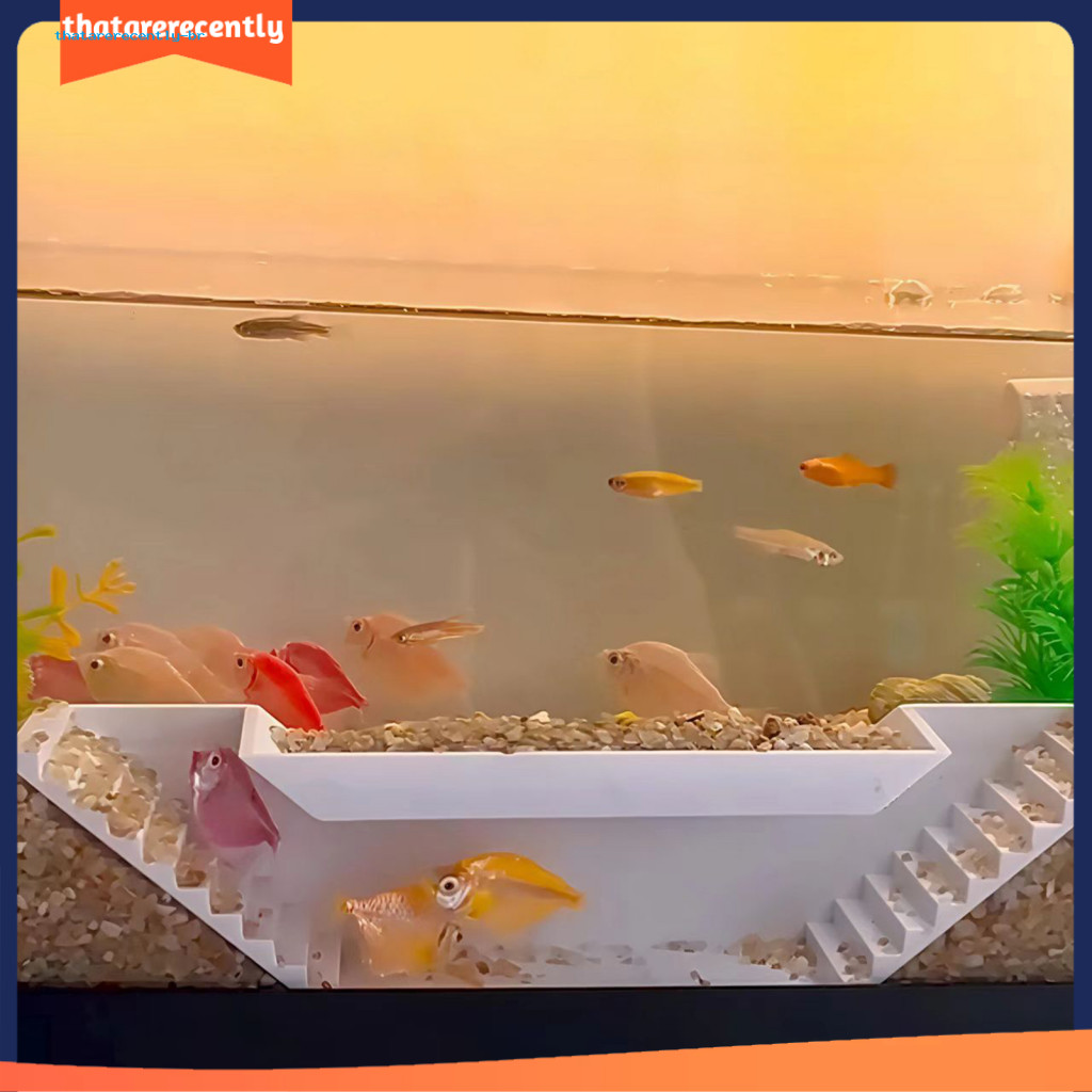 Tunnel-style Fish Path Odorless Hideout Natural Gravel Tunnel with ...
