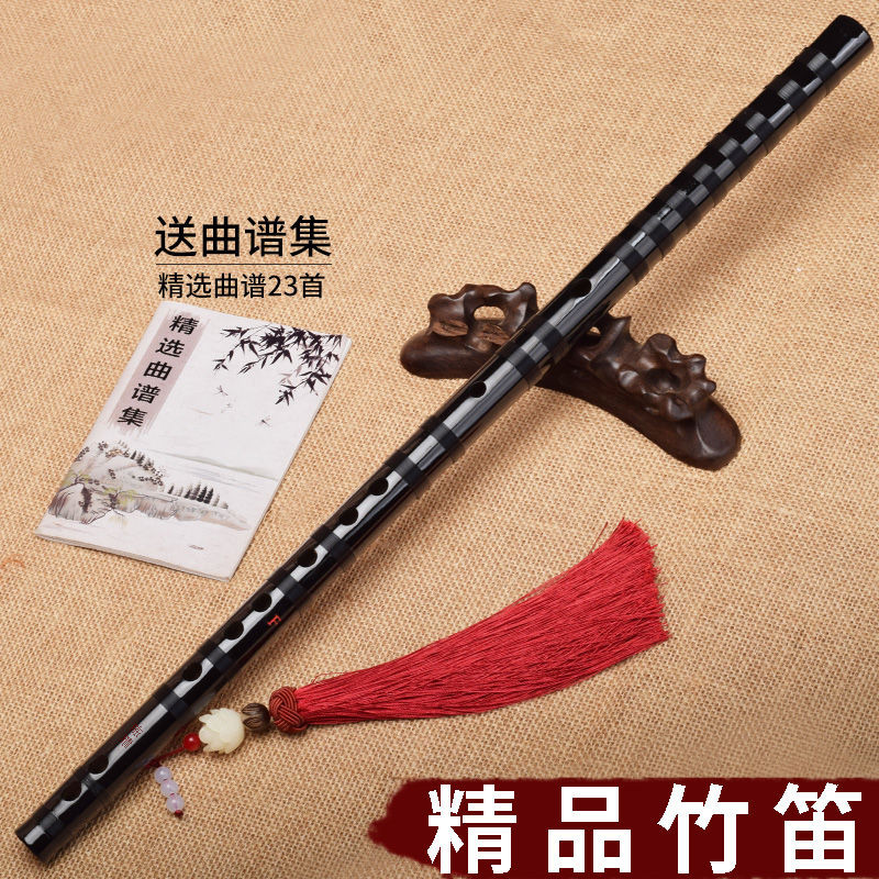 Mo Dao Chen Qingdi Flauta de Bambu Chuzhu Iniciante Introdução Zero ...