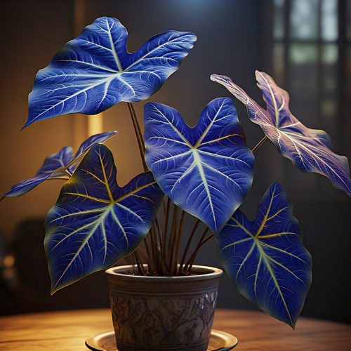 100 sementes Caladium Lava Petals com manual de cultivo | Shopee Brasil