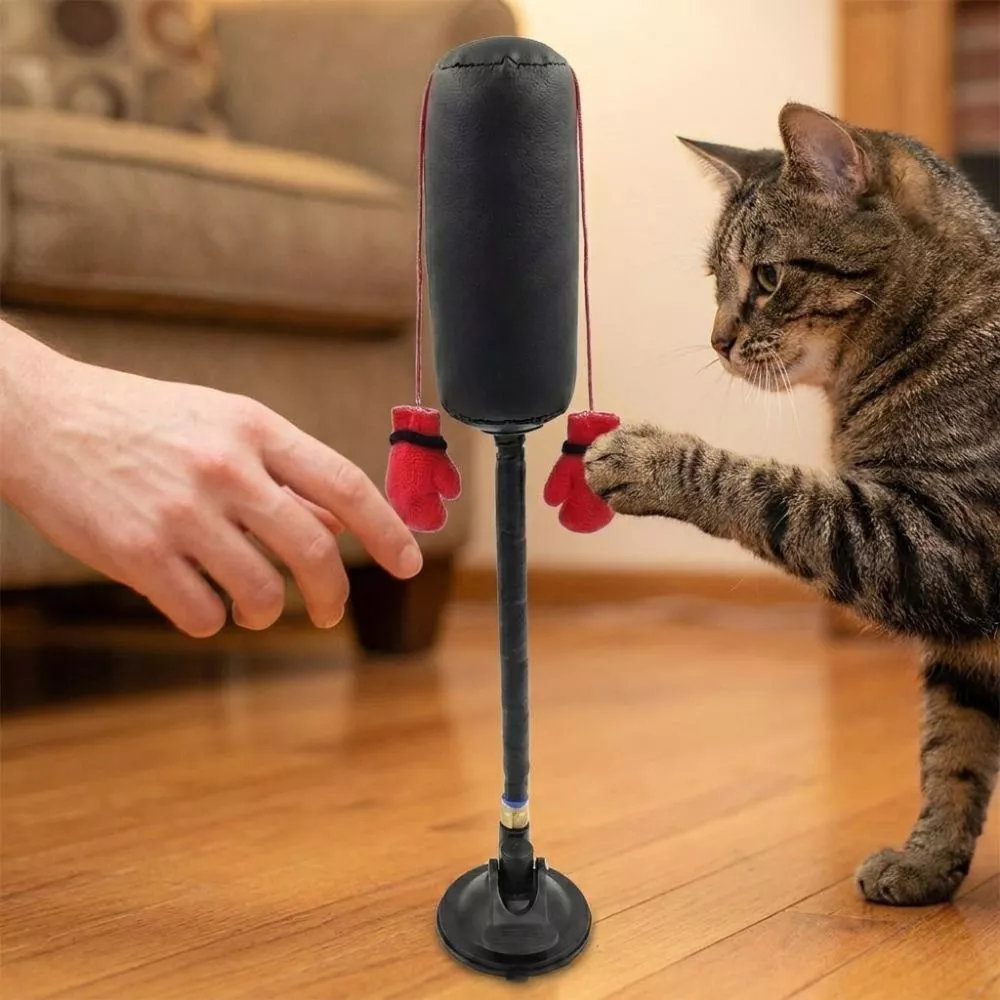 LACYES Brinquedo De Saco De Pancadas Para Animais De Estimação , Boxe Autônomo Gatos , Ventosa , Jogo