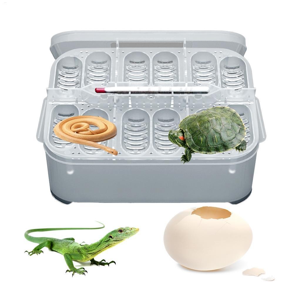 12 Grids Professional Reptile Incubators Small Reptile Breeding Box ...