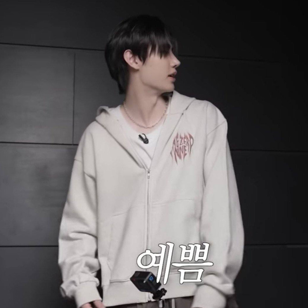 KPOP ENHYPEN SUNGHOON 109 Moletom Com Capuz Lavado Zíper Unissex