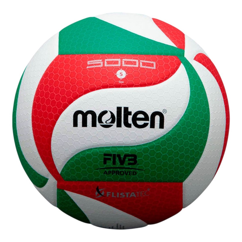 Bola de Volei Profissional Molten V5M5000 FIVB Original | Shopee Brasil