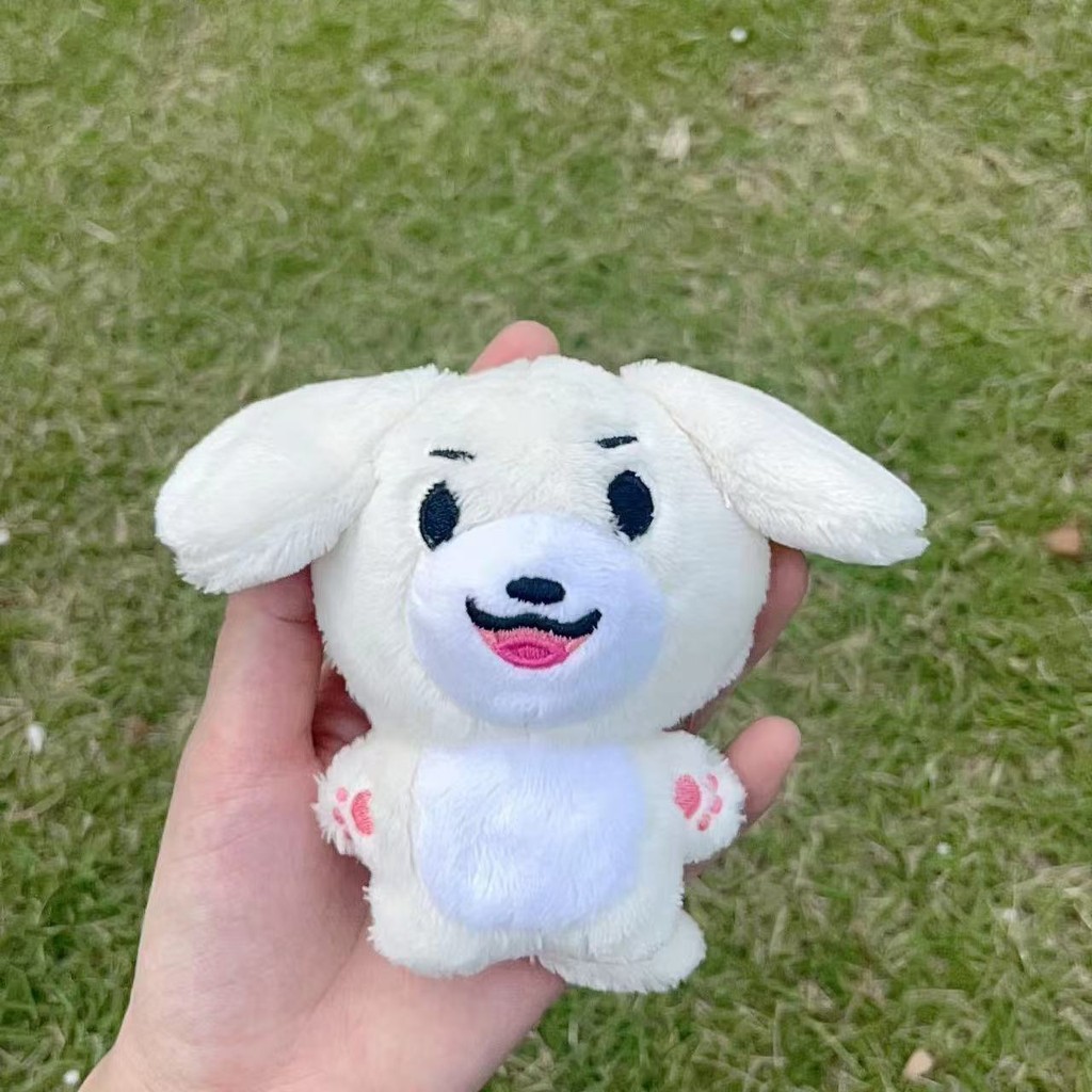 Kpop Idol Enhypen Cute Cartoon Characters 10cm Plush Doll HEESEUNG