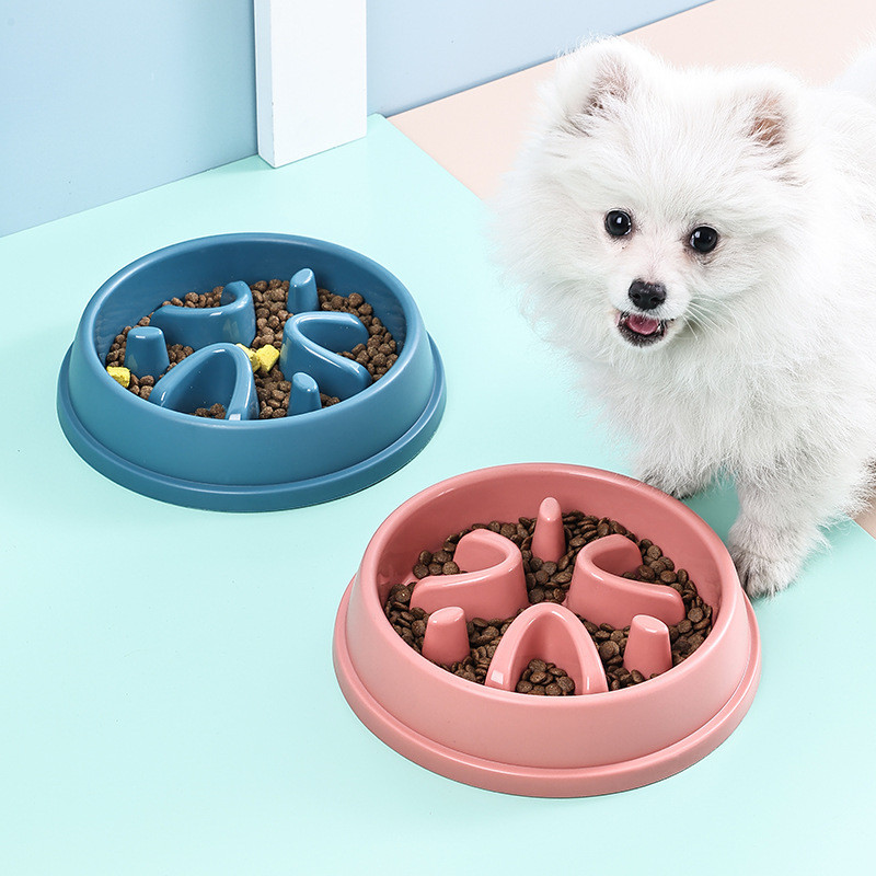 Tigela de Comida Lenta para Cães e Gatos