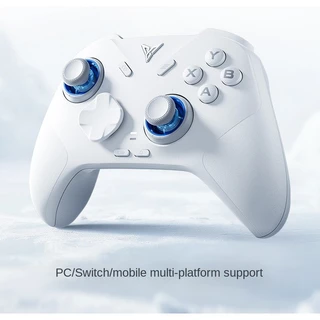 Novo Flydigi Direwolf 4 Switch 2.4G Game Handle Controlador De Jogos Para PC/IOS/Android BT Gamepad Sem Fio