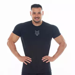 Kit 3 Camisetas Dry Masculina Treino Academia Alpha