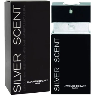 Perfume Masculino Importado Silver 100ml