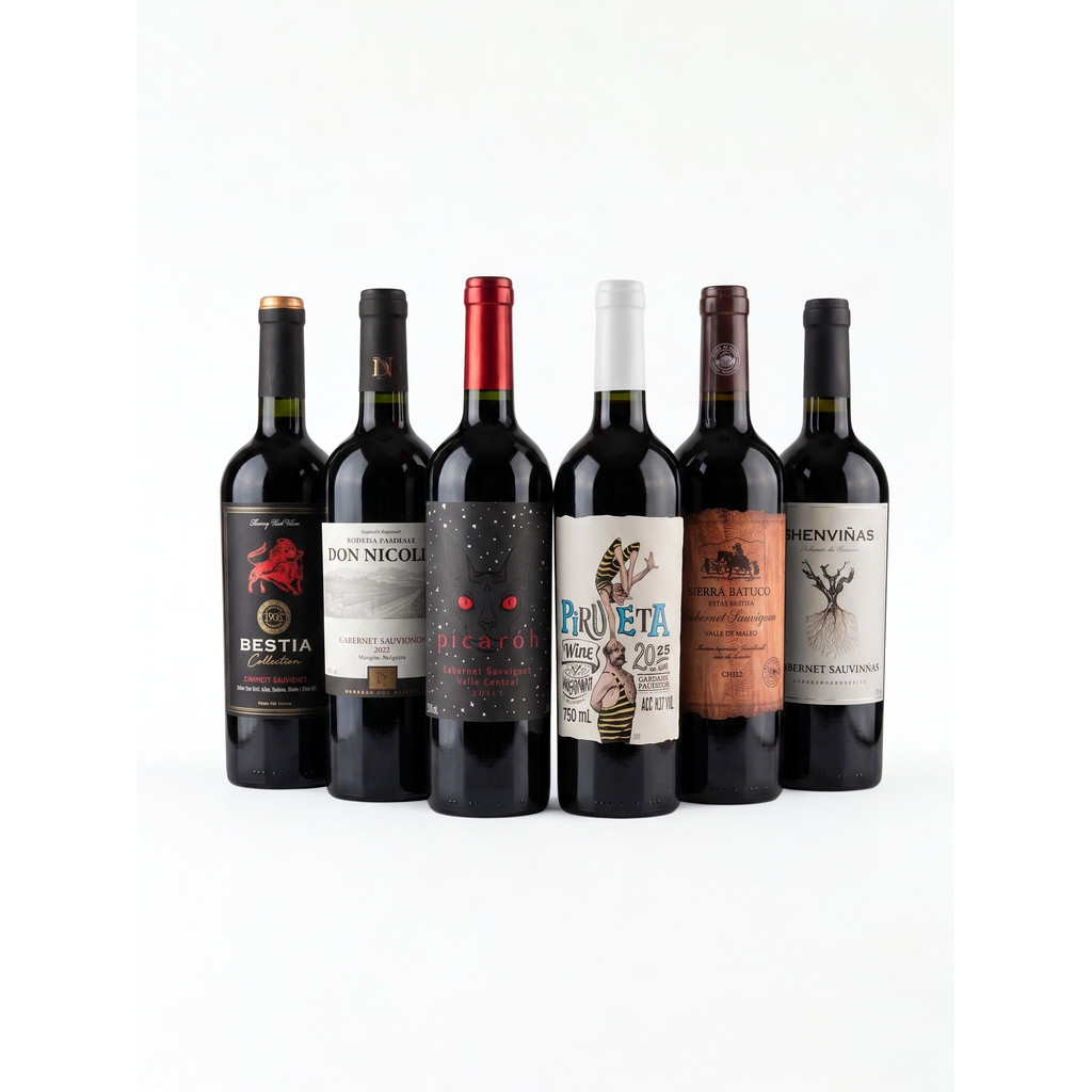 6 Vinhos Tintos Secos Cabernet Sauvignon Argentina e Chile 750ml