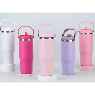 GARRAFA Térmica 900ml Tampa na Cor do Copo Alça Canudo Térmica Inoxidável Envio Imediato