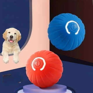Bolinha Eletrônica Para Cachorro Brincar Movimento Automatico Recarregavel USB marisa em Oferta na Shopee