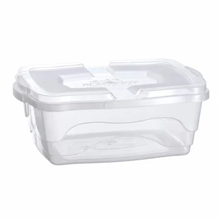 Caixa Organizadora Multiuso 10 Litros Transparente com Tampa Plástica para Roupas Brinquedos Cozinha Banheiro Quarto Arm