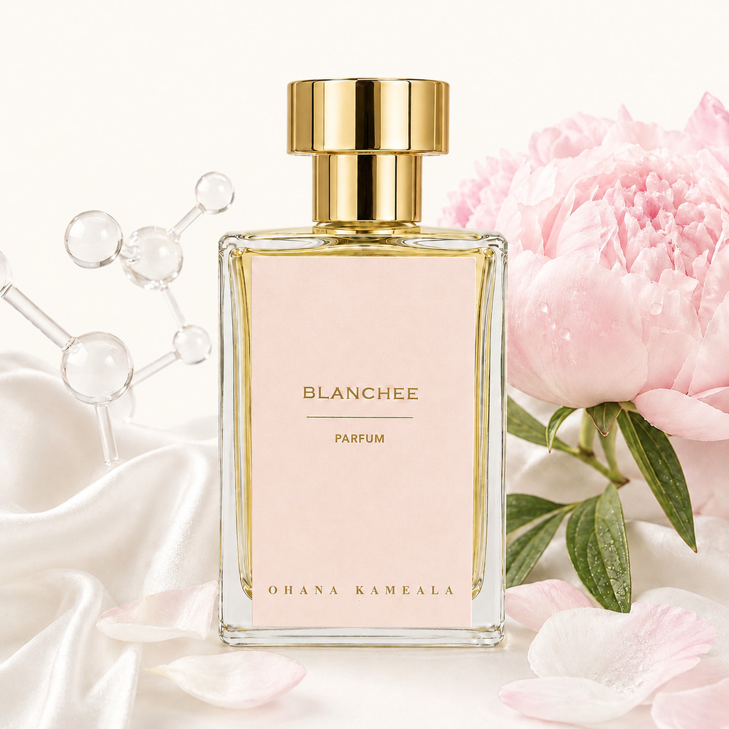Blanche Perfume em Promoção na Shopee Brasil 2026