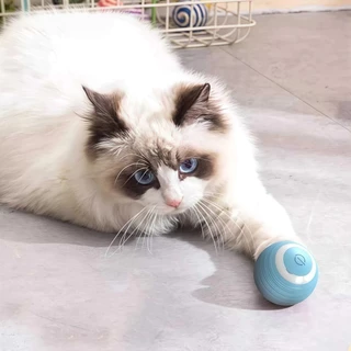 Gato BOLA Brinquedo Elétrico Automático Rotação Interessante Gatinho Cão para treinamento de gatos auto-move marisa em Oferta na Shopee