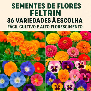 Sementes de Flores Feltrin – 50 Variedades à Escolha | Fácil Cultivo e Alto Florescimento