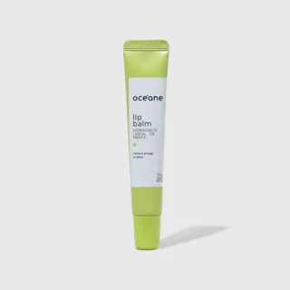 Hidratante Labial Menta - Lip Balm 15g em Oferta na Shopee
