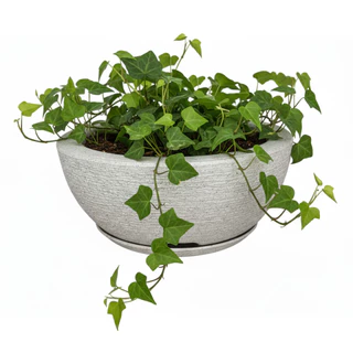 Vaso de Planta Bacia Com Prato Escovado 1 Decorativo cinza em Oferta na Shopee
