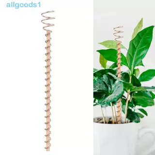 Estacas Para Plantas De Eletrocultura ALLGOODS , Antenas De Bobina De Cobre Jardinagem Fio , Haste em Oferta na Shopee