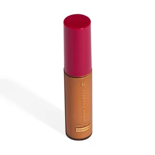 Eudora Corretivo Cor 65 Niina Secrets Perfect Match 10ml em Oferta na Shopee