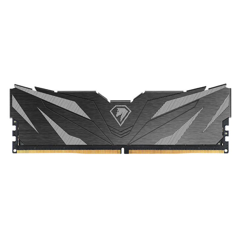 Memória RAM Netac Shadow II 16 GB (1x16 GB) DDR5 5600 MHz CL46
