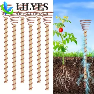 Antenas De Bobina De Cobre Para Jardinagem LILYES , Estacas De Plantas De Eletrocultura Com Haste , Fio em Oferta na Shopee