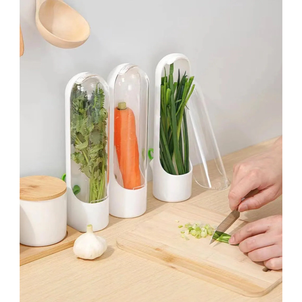 ORGANIZADOR DE ERVAS PARA GELADEIRA CONSERVADOR DE VERDURAS 