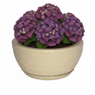 Vaso Escovado Polietileno Bacia 1 Bege em Oferta na Shopee