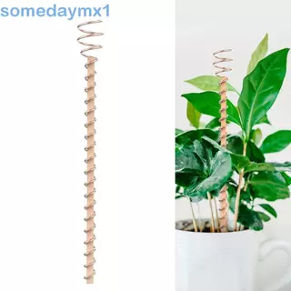 SOMEDAYMX1 Estacas Para Plantas De Eletrocultura , Bobina De Fio De Cobre Jardinagem , Antenas De , Haste em Oferta na Shopee