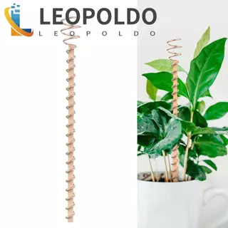 Estacas Para Plantas De Eletrocultura LEOPOLDO , Antenas De Bobina De Cobre Jardinagem Fio , Haste em Oferta na Shopee