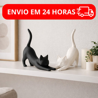 Par Gatos Minimalistas