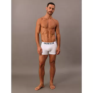 Kit 2 Underwear Trunk Seamless Sem Costura Cueca Calvin Klein - Multicolor em Oferta na Shopee