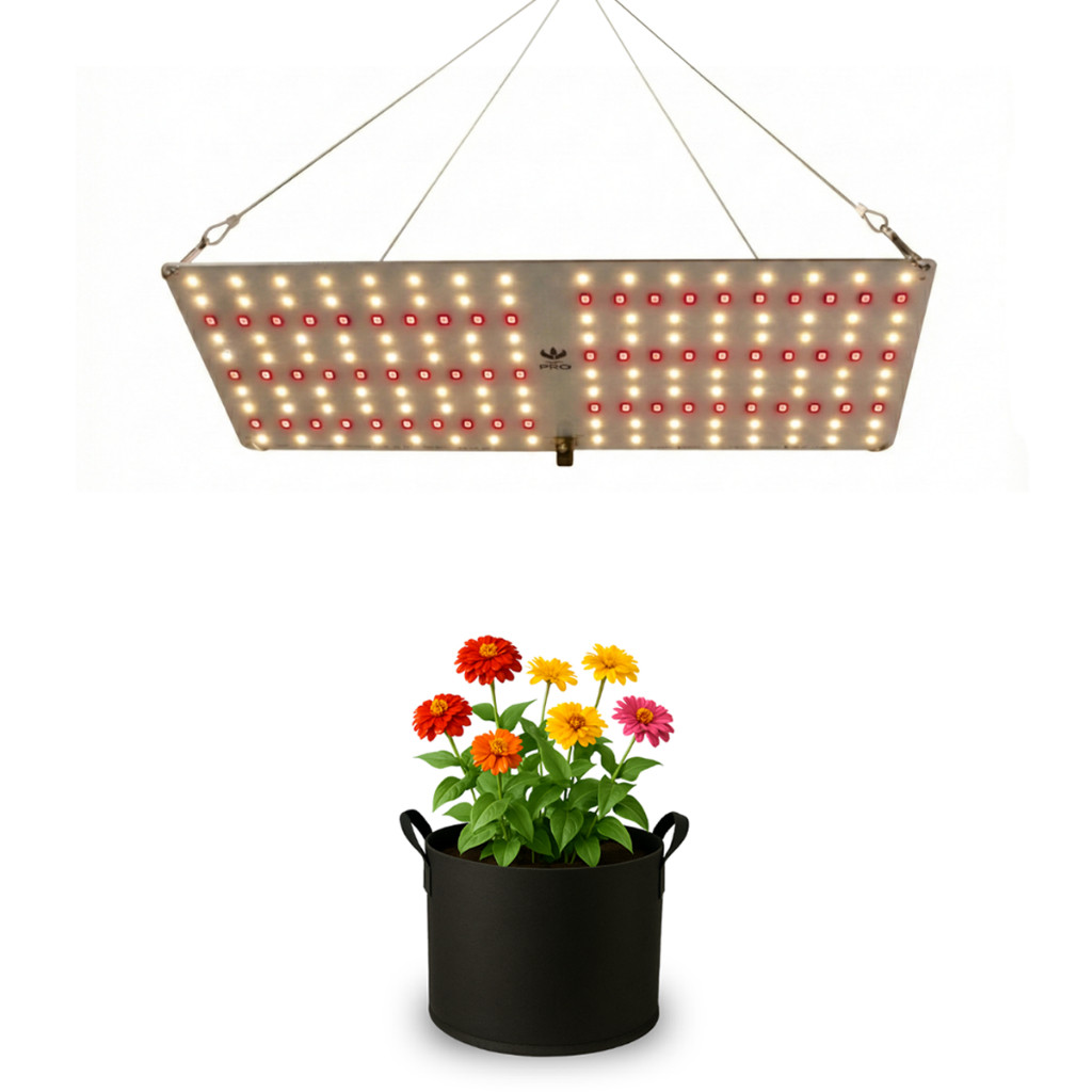 Lâmpada Led Grow 65W Chips Samsung LM281B Painel Quantum Board Qb ...